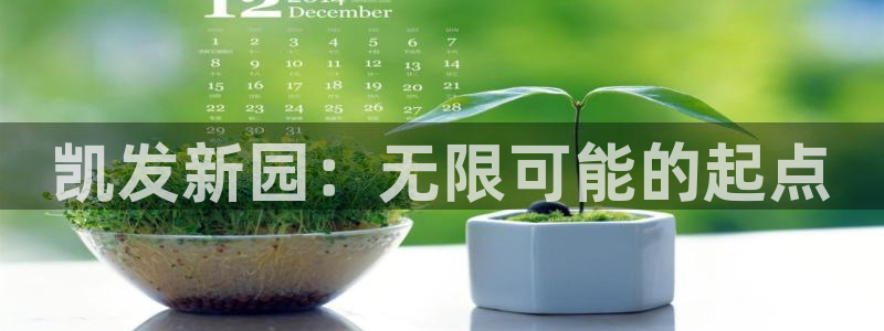 OB视讯：凯发新园：无限可能的起点