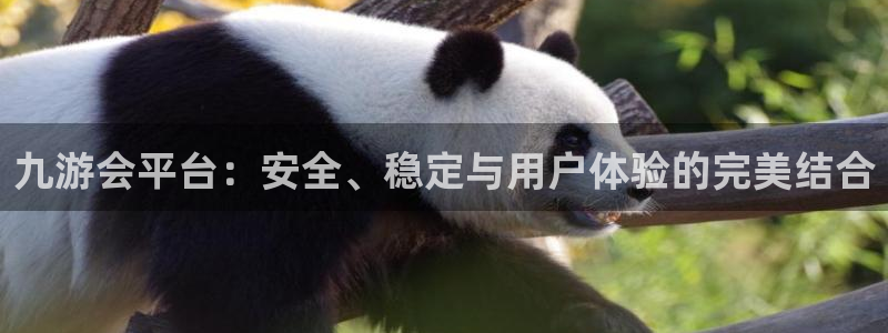 伟德国际集团 壹号(one game)：九游会平台：安全、稳定与用户体验的完美结合
