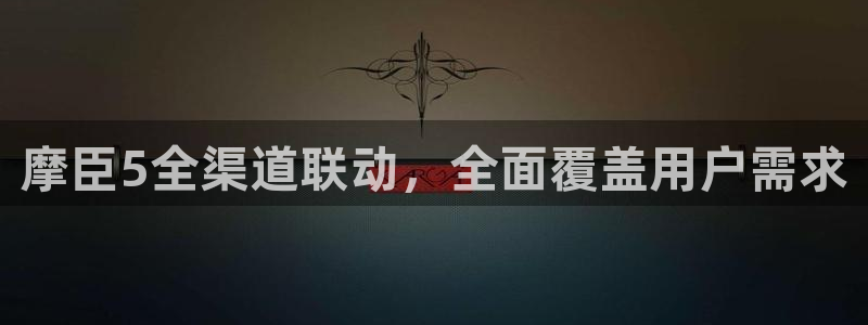 壹号下载安装：摩臣5全渠道联动，全面覆盖用户需求