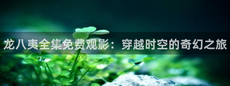 pgOB视讯平台下载入口：龙八夷全集免费观影：穿越时空的奇幻之旅