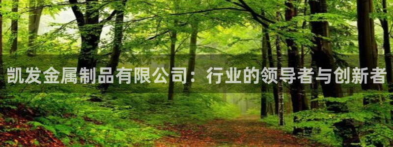 OB视讯app官网下载：凯发金属制品有限公司：行业的领导者与创新者