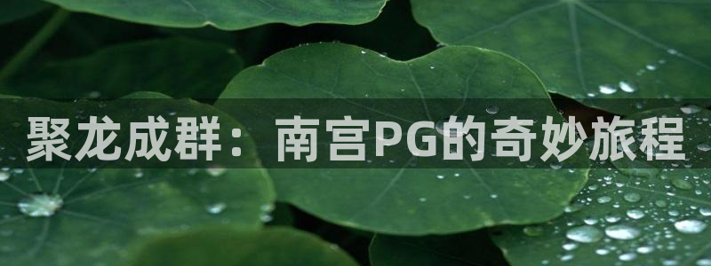 伟德国际集团 壹号(one game)：聚龙成群：南宫PG的奇妙旅程