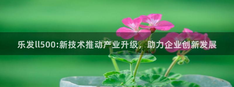 OB视讯平台官方网站：乐发ll500:新技术推动产业升级，助力企业创新发展