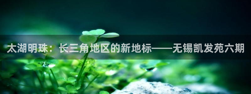 OB视讯官网版下载链接：太湖明珠：长三角地区的新地标——无锡凯发苑六期