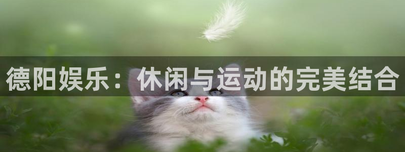 OB视讯平台官网版最新：德阳娱乐：休闲与运动的完美结合
