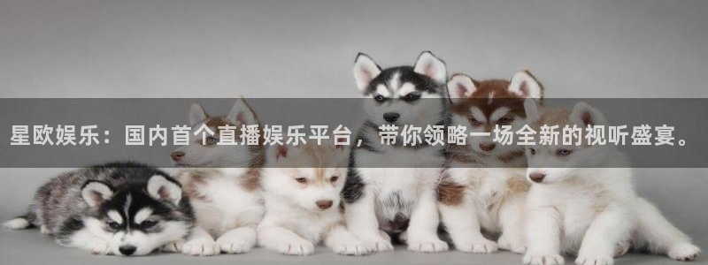 OB视讯app下载：星欧娱乐：国内首个直播娱乐平台，带你领略一场全新的视听盛宴。