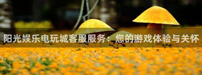 OB视讯加拿大：阳光娱乐电玩城客服服务：您的游戏体验与关怀