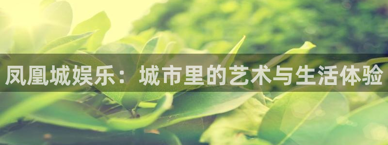 OB视讯平台