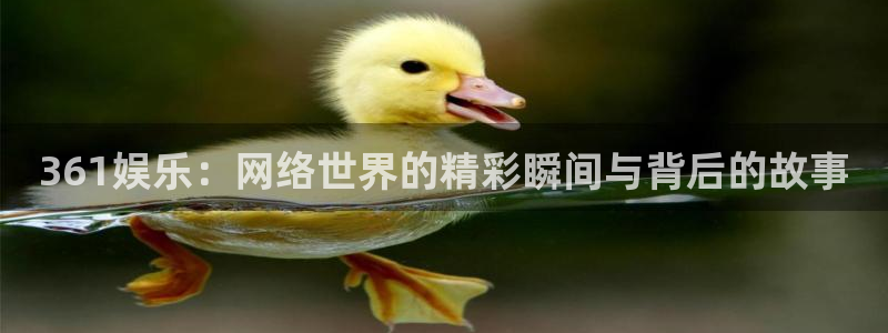 OB视讯网站：361娱乐：网络世界的精彩瞬间与背后的故事
