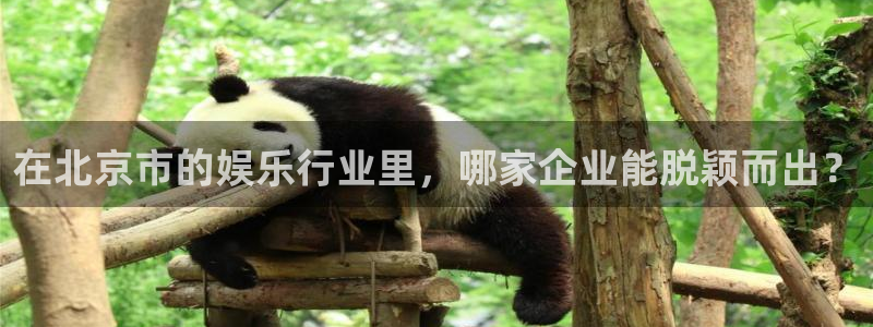 OB视讯注册官网入口：在北京市的娱乐行业里，哪家企业能脱颖而出？