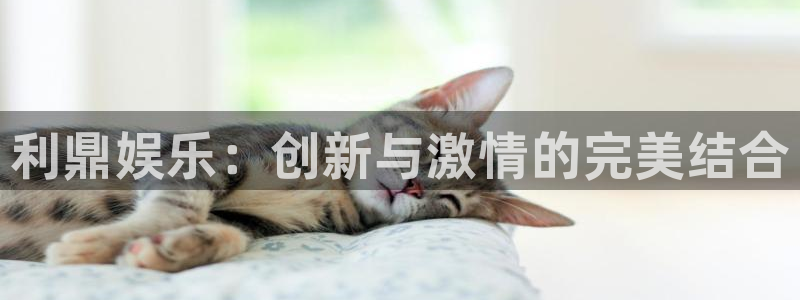 OB视讯网站：利鼎娱乐：创新与激情的完美结合