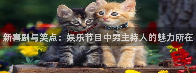 OB视讯是大平台吗：新喜剧与笑点：娱乐节目中男主持人的魅力所在