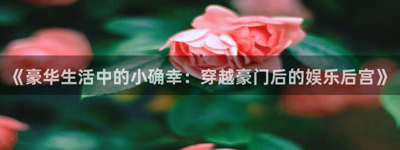 下载OB视讯：《豪华生活中的小确幸：穿越豪门后的娱乐后宫》