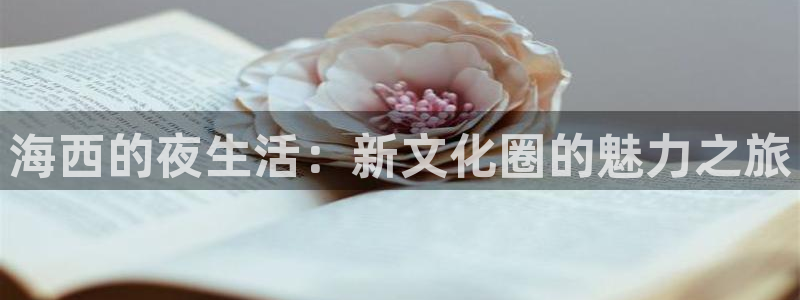 OB视讯吧：海西的夜生活：新文化圈的魅力之旅