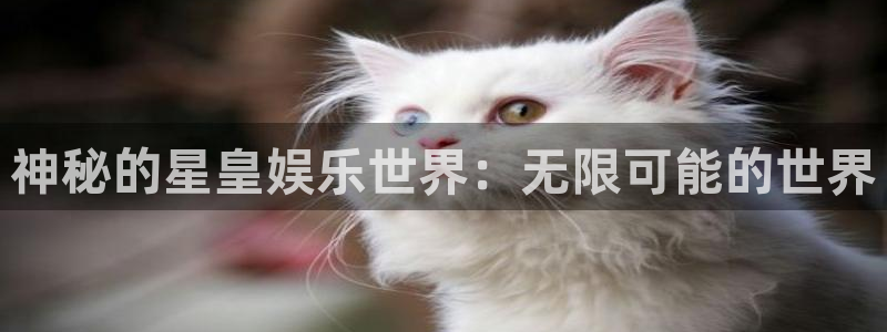 OB视讯,com：神秘的星皇娱乐世界：无限可能的世界