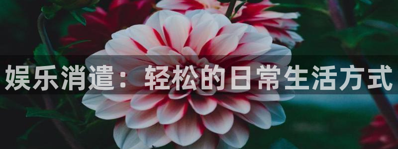 OB视讯-ng大舞台,有梦你就来：娱乐消遣：轻松的日常生活方式