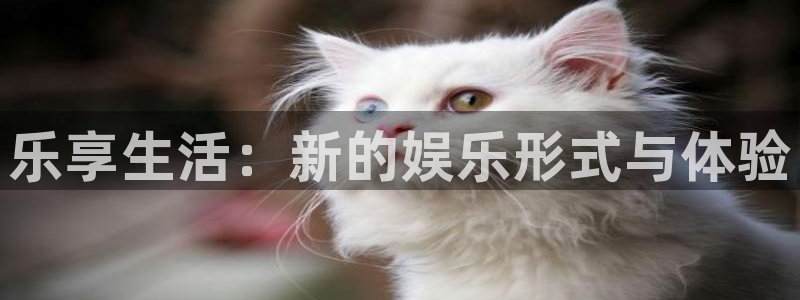 OB视讯可靠吗：乐享生活：新的娱乐形式与体验