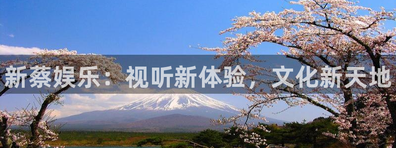 OB视讯.com：新蔡娱乐：视听新体验，文化新天地