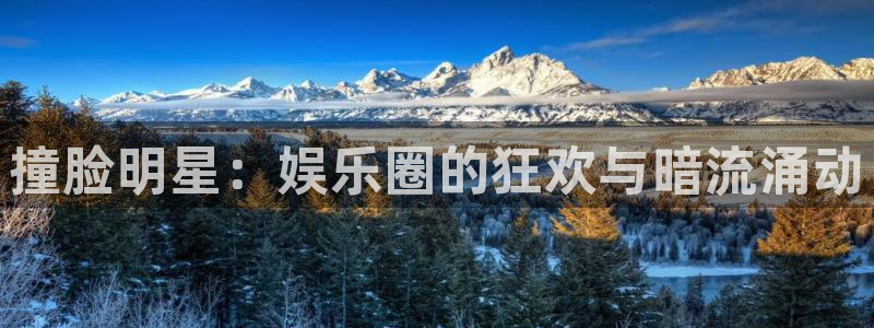 OB视讯pg电子游戏在线玩：撞脸明星：娱乐圈的狂欢与暗流涌动
