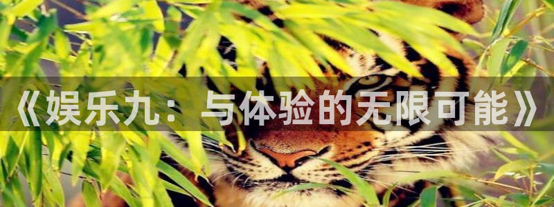 伟德国际集团 壹号(one game)：《娱乐九：与体验的无限可能》
