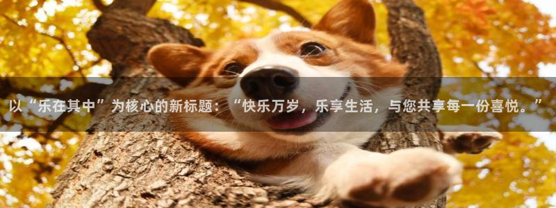 OB视讯麻将胡了