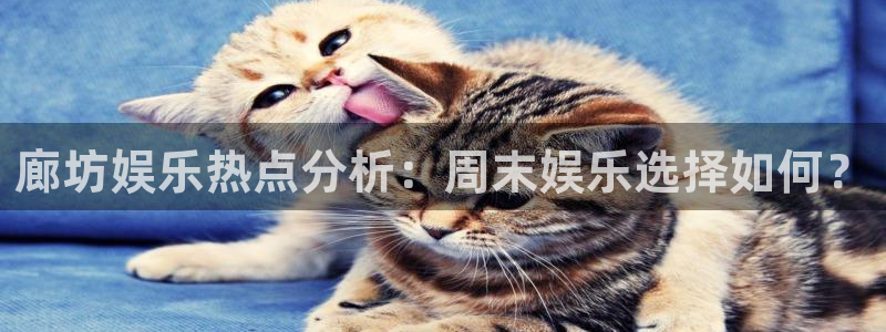 壹号大舞台娱乐app下载安装