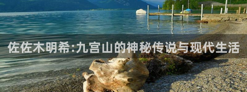 OB视讯分红代理计划
