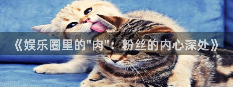 OB视讯是大平台吗：《娱乐圈里的\