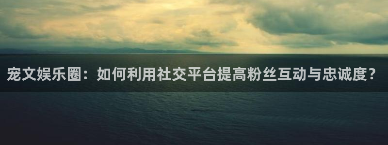 OB视讯app下载官网：宠文娱乐圈：如何利用社交平台提高粉丝互动与忠诚度？